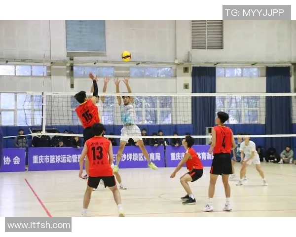 重庆排球队逆袭之路洲际杯特别报道展现拼搏精神与团队力量